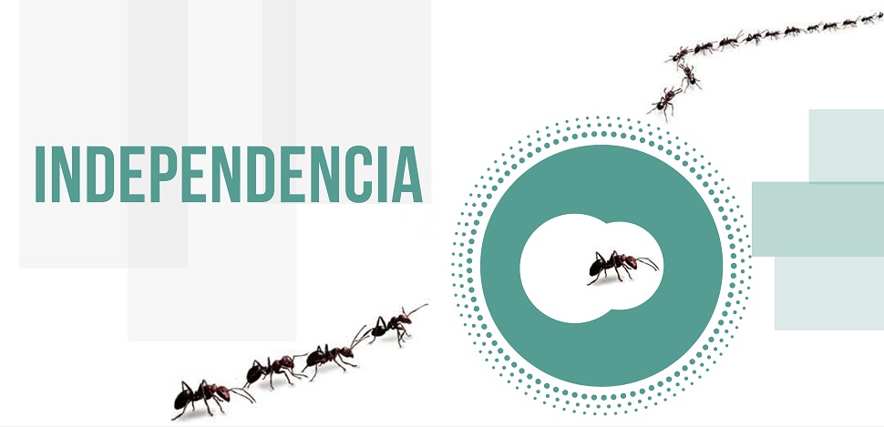 Banner con el título independencia donde se muestra el camino de una colonia de hormigas para Noticias Unibagué