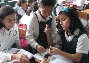 Pequeños Científicos Unibagué